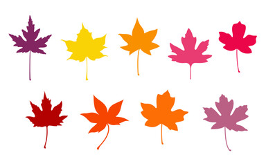 Set of maple autumn leaves in vector. Flat style.