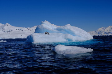 iceberg in polar regions