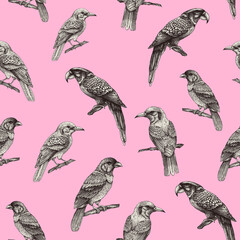 Vintage monochrome seamless pattern with tropical fantasy bird, hand drawn wallpaper