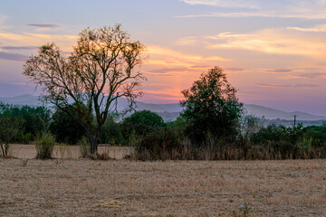 Obraz premium Rural sunset in La Bisbal d`Empordá