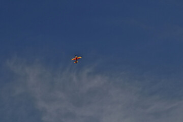 airshow with acrobatic airplanes in romania hawks of romania 