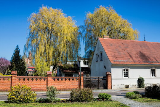 gransee, deutschland - stadtpanorama mit marienkirche im hintergrund