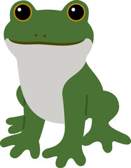 カエル　かえる　蛙　frog
