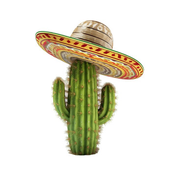 Mexican party concept with cactus, maracas and sombrero hat, Cinco de Mayo holiday celebration, PNG Generative ai