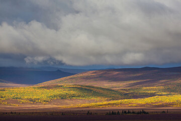 Autumn in polar tundra