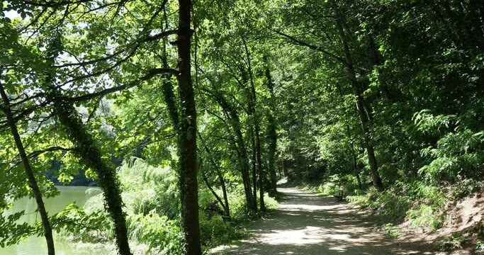 Idyllisch Bergsee N&ouml;rdlich oberhalb Bad S&auml;ckingens im S&uuml;dschwarzwald. Natur pur entlang des Wanderwegs rund um den See
