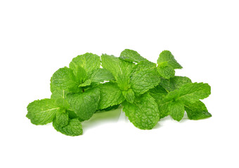 Fresh Mint leaves isolated on white background