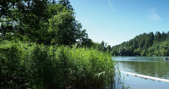 Am Bergsee - Bad S&auml;ckingen - Wasseraktivit&auml;ten und Tretbootfahrer &uuml;ber den ruhiges Wasser des Sees zwischen quakende Enten