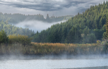 Fog on a creek and in a forest with a dramatic cloudy sky.
