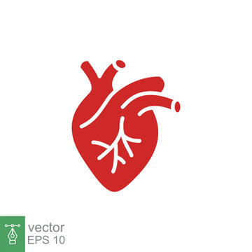 Red human heart icon. Simple solid, flat style. Internal organ, real, cardiology, cardiac anatomy, medical concept. Silhouette, glyph symbol. Vector illustration isolated on white background. EPS 10.