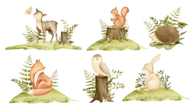 Woodland animals in a forest. Hand drawn watercolor illustration of deer and bunny for baby shower greeting cards or birthday invitations on isolated background. Bundle with squirrel and hedgehog.