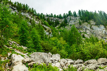 Obraz premium Wanderung durch die wunderschönen Berchtesgadener Alpen zum Watzmann - Berchtesgaden - Bayern - Deutschland