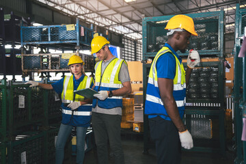 Group of Multiethnic Warehouse Workers Working Together With Colleague in Factory, Teamwork of Male and Female Warehouse Workers in Transport and Logistics Industry.