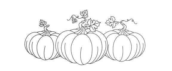 pumpkins line art style. halloween and thanksgiving elements
