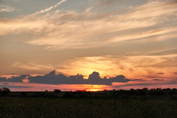 Sunset in the fields of Venta la Rubia. Madrid's community. Spain