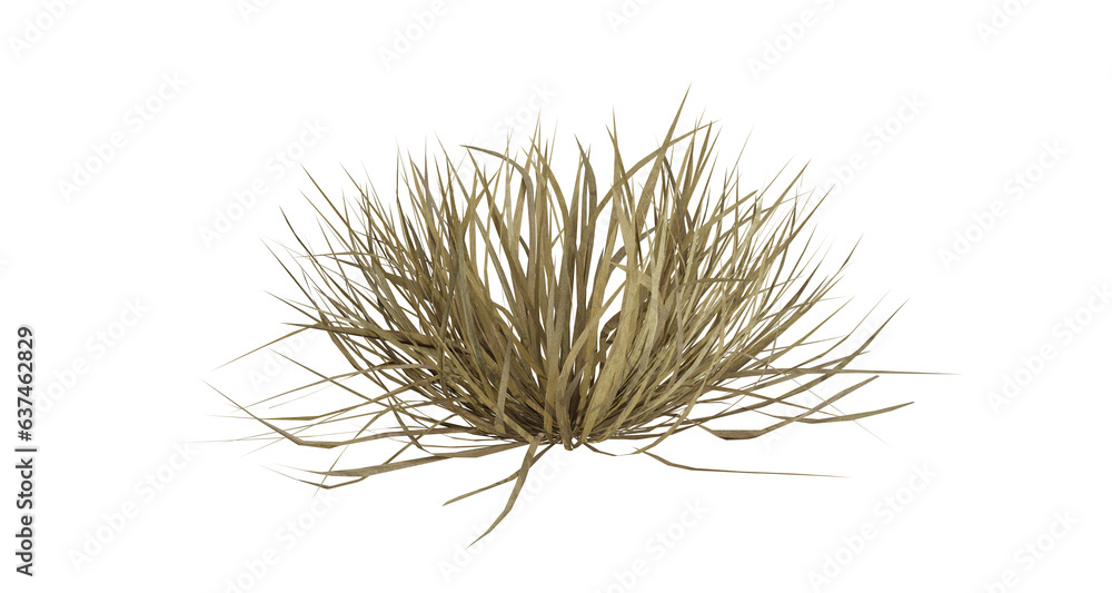 Poster bunches of grass on a transparent background. 3d rendering.