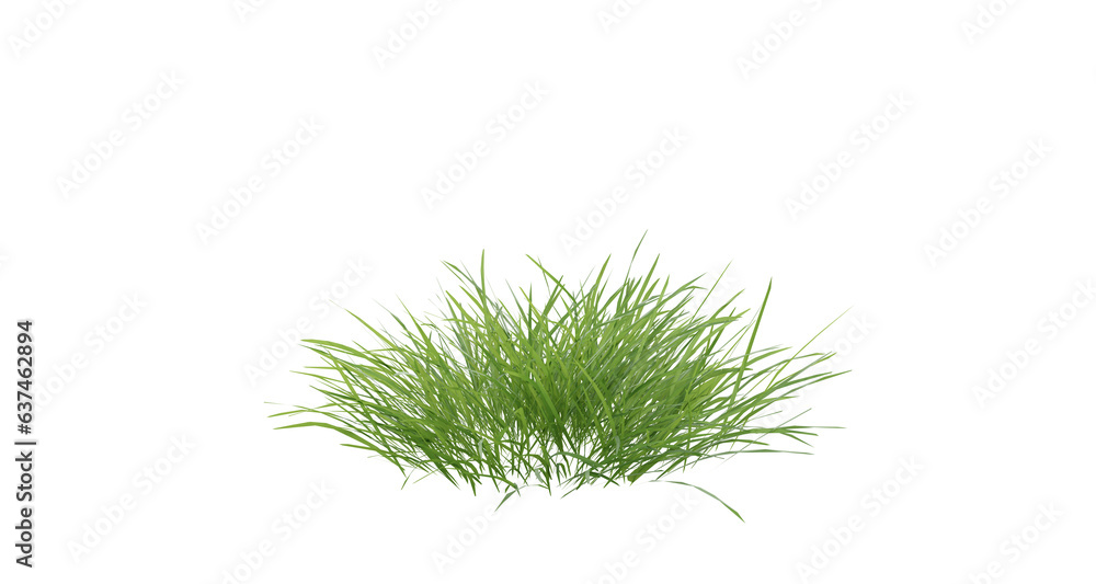 Poster bunches of grass on a transparent background. 3d rendering.