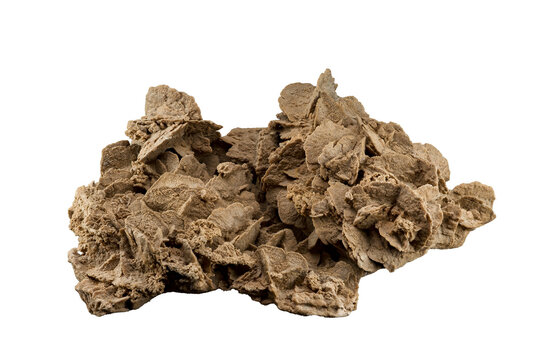 Isolated large sand rose with white or transparent background (size is 43 cm large , 14.5cm height and 29cm width)