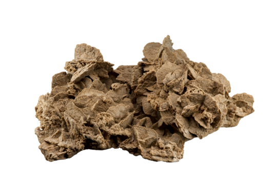 Isolated large sand rose with white or transparent background (size is 43 cm large , 14.5cm height and 29cm width)