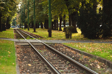 Fototapeta premium The peaceful and empty beautiful street with railway of public transport - tram and autumn tree alley with shadow in the old centre Arad Romania