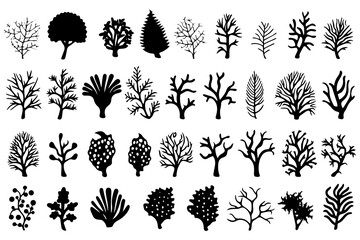 Hand drawn set of corals and seaweed silhouette isolated on white background. Vector icons and stamp illustration.