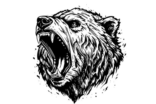 Ink hand drawing sketch bear mascot or logotype head. Vector Illustration in engraving style.
