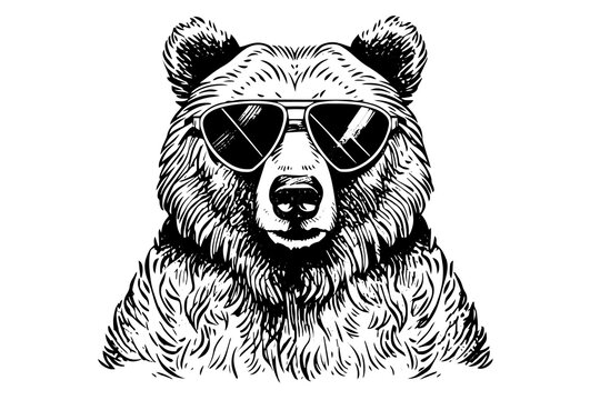 Ink hand drawing sketch bear mascot or logotype head in sunglases. Vector Illustration in engraving style.