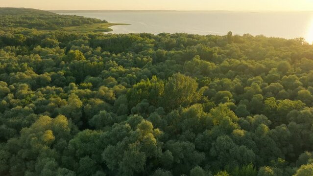 Tropical view island forest green sun summer hill travel tourism