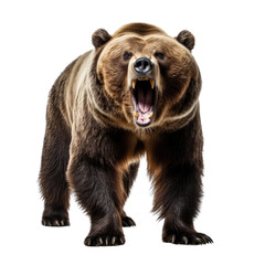a full-body view of a  Grizzly bear, angry as a transparent PNG Nature-themed, photorealistic illustration. Generative ai
