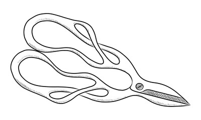 BLACK VECTOR ISOLATED ON A WHITE BACKGROUND DOODLE ILLUSTRATION OF GARDEN SCISSORS