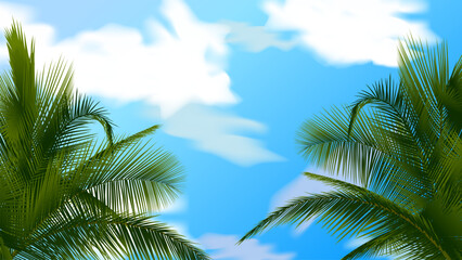Fototapeta premium coconut palm leaves against the background of a clear blue cloudy sky, realistic illustration vector