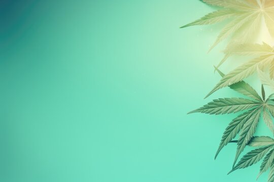 A group of marijuana leaves on a green background. Digital image.