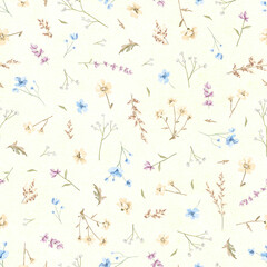 Seamless floral pattern with meadow dried flowers on green background. Watercolor hand drawn illustration sketch