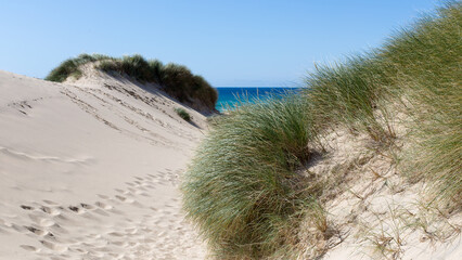 Sand dunes, grass and sea