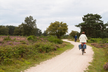 Fototapeta premium An elderly couple cycle through the Zuiderheide nature reserve near the village of Laren.