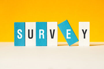 Survey - word concept on building blocks, text