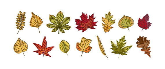 Set of Fall Leaves with offset contour Autumn concept - obrazy, fototapety, plakaty