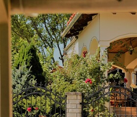 Fototapeta na wymiar old sunny balkony with plants and pink flowers