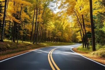 Obraz premium Asphalt concrete road with fallen leaves in autumn forest.