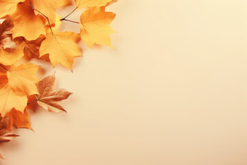 Fototapeta premium Autumn background with leaves