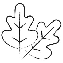 Hand drawn Oak Leaf icon