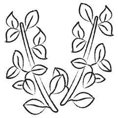 Hand drawn Thyme icon