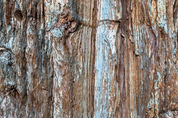 old wood texture