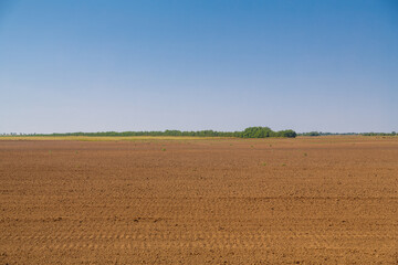 A plowed field prepared for planting crops.