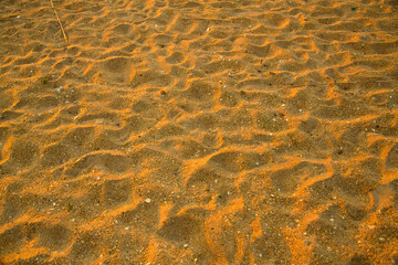 Golden sand early in the morning in the rays of the dawn sun.