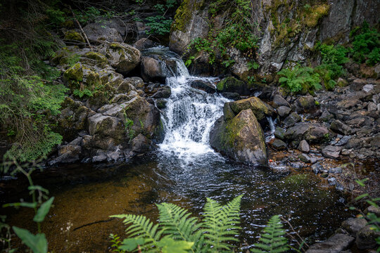 the beautiful forests, streams and waterfalls in the area of the French Vosges, this photo taken at the so-called 'cascade Saut des Cuves'