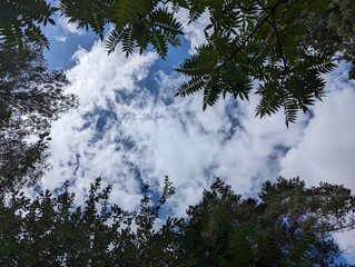 nature