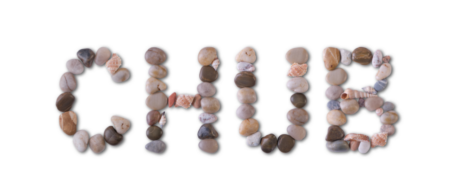 The word "CHUB" is lined with shells and stones of different shapes and colors on a transparent background. Types of fish and seafood, price tag, sea food, fish market, sea alphabet.