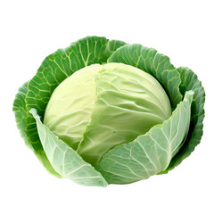 Obraz premium cabbage isolated on white background