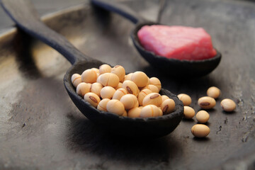 Concept, ecological choice, meat or soy. Alternative food. Protein food, meat or soy. Equivalent food, food of the future.